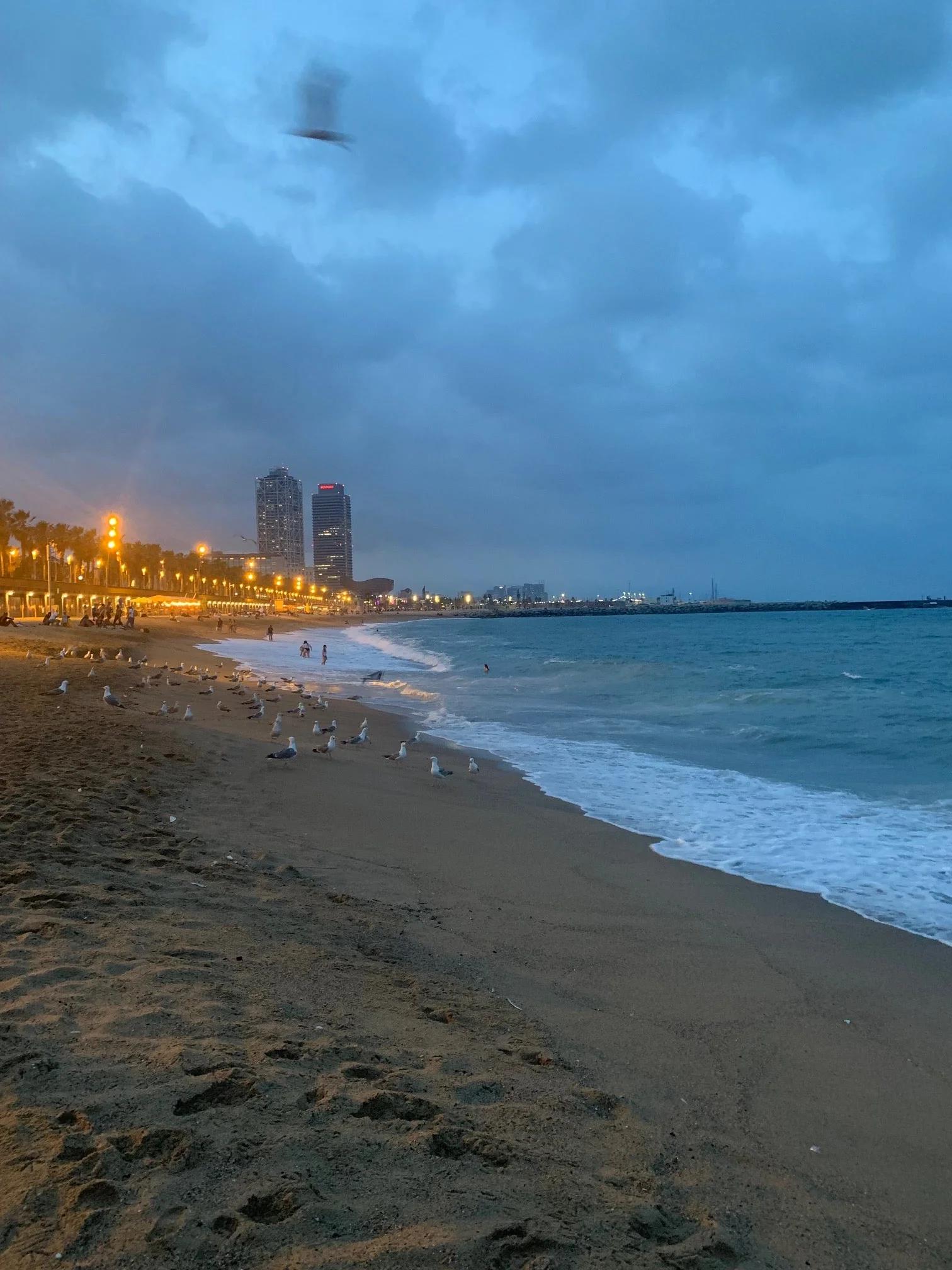 ☀️ Summer Heat Alert in Barcelona Today: Strong Sun and Coastal Warmth