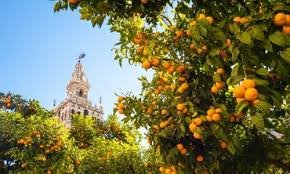 Sunniest Cities in Europe: Where You’ll Find the Most Sunshine