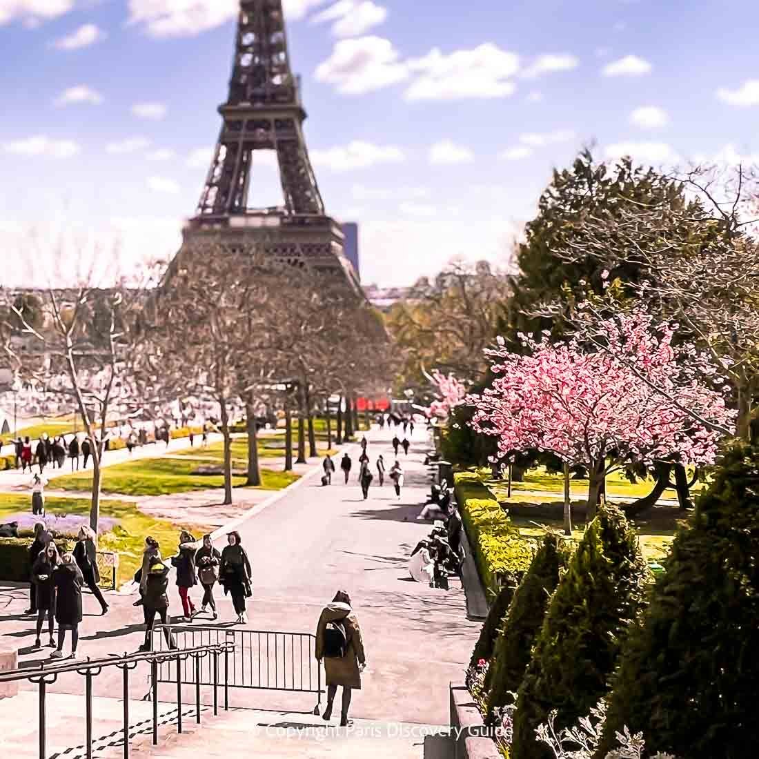 Best Cities in Europe for Spring Weather: Where to Travel for Mild and Beautiful Conditions